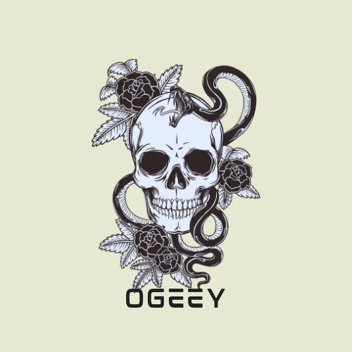 The Bold and Comfy Statement: Embracing the Oversized T-Shirt Trend